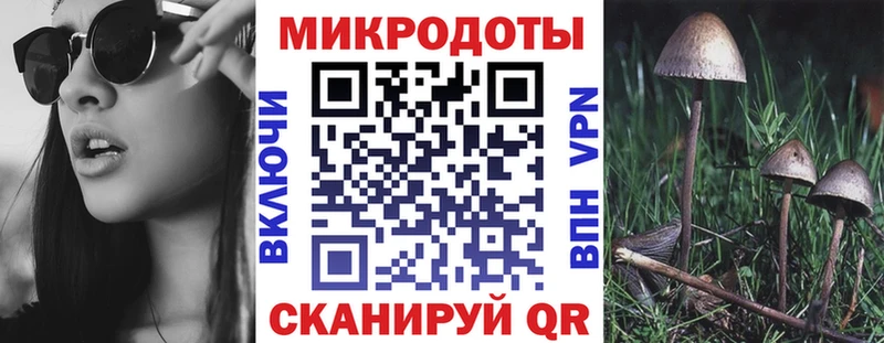 Купить  Кузнецк  Псилоцибиновые грибы Cubensis 